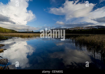 Nuvole con riflessioni di un lago in Atndalen, Rondane Nationalpark, Hedmark Fylke, Norwegen, può Foto Stock