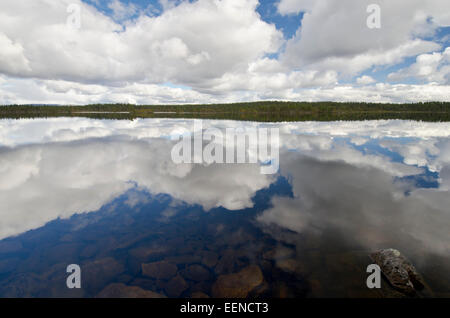 Wolke spiegeln sich in einem vedere im Naturreservat Rogen, Haerjedalen, Schweden, Agosto 2011 Foto Stock