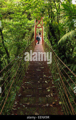 Alto ponte di sospensione per permettere ai turisti di ammirare natura nella foresta. Monteverde Biological Reserve, Costa Rica. Foto Stock