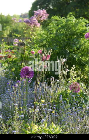 Confine misti in tarda primavera con allium fiori, aquilegia e non ti scordar di me. Foto Stock