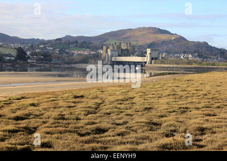 Conwy Estuary in inverno. Vista da Conwy RSPB Riserva verso Conwy Castle Foto Stock