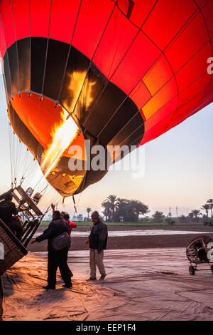 Gonfiare una mongolfiera sulla sponda ovest del Nilo in Egitto a sunrise. Foto Stock