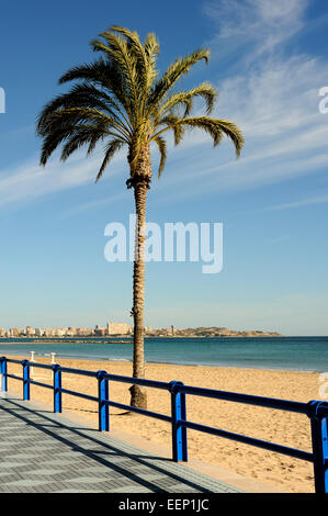 Fronte spiaggia PROMENADE O LA PASSERELLA IN ALICANTE spiaggia di Postiguet Foto Stock