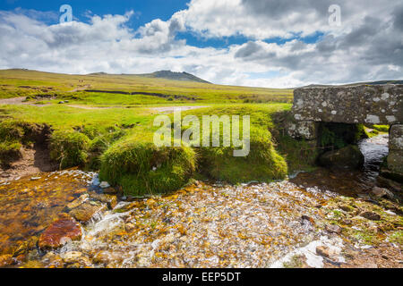 Ruvido Tor su Bodmin Moor è il secondo punto più alto in Cornwall Inghilterra UK Europa Foto Stock