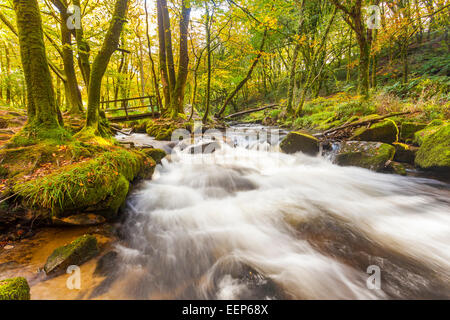 Fiume Fowey a Golitha Falls riserva naturale sul bordo di Bodmin Moor Cornwall Inghilterra UK Europa Foto Stock