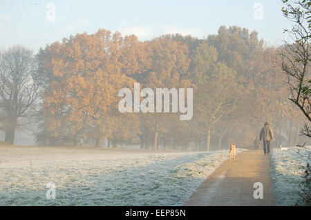 Uomo che cammina cani su un gelido mattino a Hampstead Heath, London, England, Regno Unito Foto Stock
