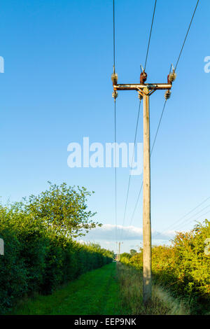 Utility di legno pole e linee elettriche in campagna, Nottinghamshire, England, Regno Unito Foto Stock