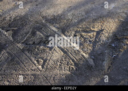 Tracce di pneumatici nel fango facendo una lettera "X" Foto Stock