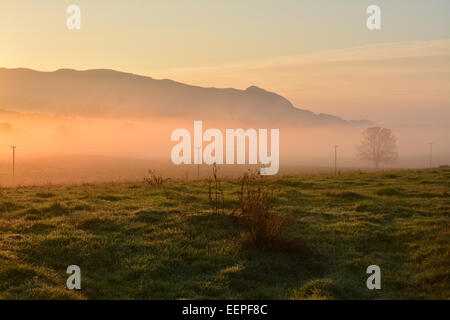 Rural alba sul Campsie Hills a nord di Glasgow, Scotland, Regno Unito Foto Stock