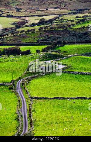 Piccolo paese di avvolgimento strada in Irlanda rurale Foto Stock
