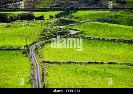 Piccolo paese di avvolgimento strada in Irlanda rurale Foto Stock