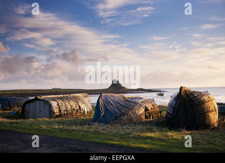 Aringa capannone in barca nel porto di Lindisfarne a sunrise. A Isola Santa, Northumberland, Inghilterra Foto Stock