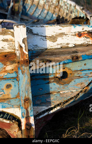 Vecchio di legno dipinto di barca da pesca di scafo. Lindisfarne, Northumberland, Inghilterra Foto Stock