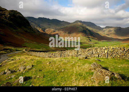 Loughrigg nel Parco Nazionale del Distretto dei Laghi, Cumbria Foto Stock