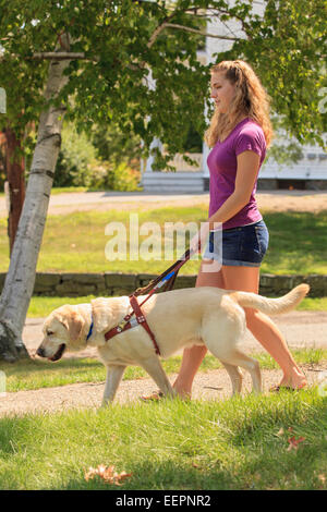 Donna con minorazione visiva a piedi con il suo cane di servizio Foto Stock