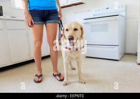 Donna con minorazione visiva in cucina con il suo cane di servizio Foto Stock