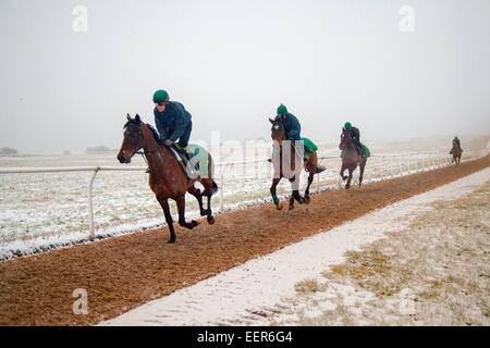 North Yorkshire mercoledì 13 febbraio, 2013. In inverno le condizioni di Blizzard su Middleham alta Moor come fantini esercizio di cavalli da corsa da Middleham, Wensleydale, REGNO UNITO Foto Stock