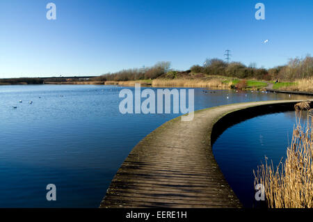 Passerella curvi, Lamby Lago, Tredelerch Park, Lamby modo, Cardiff, Galles del Sud. Foto Stock