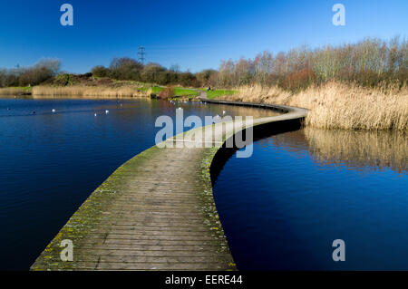 Passerella curvi, Lamby Lago, Tredelerch Park, Lamby modo, Cardiff, Galles del Sud. Foto Stock