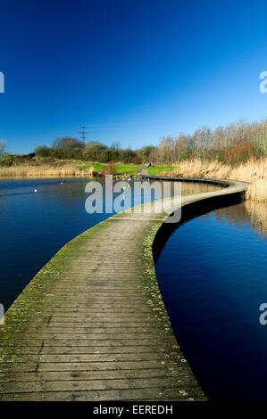 Passerella curvi, Lamby Lago, Tredelerch Park, Lamby modo, Cardiff, Galles del Sud. Foto Stock