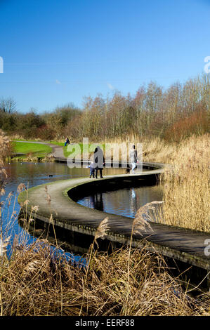 Passerella curvi, Lamby Lago, Tredelerch Park, Lamby modo, Cardiff, Galles del Sud. Foto Stock