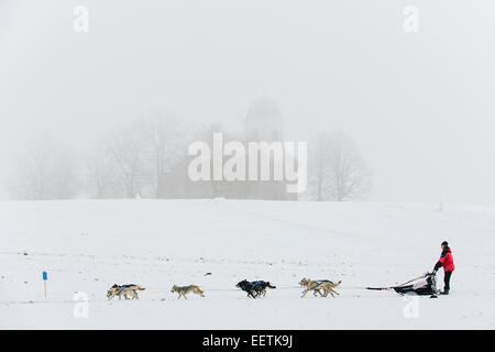 Orlicke mountains, Repubblica Ceca. Il 21 gennaio, 2015. Dog team tira durante la prima fase del lungo Sedivackuv estrema race nella campagna di Orlicke Mountains, dove avrebbe passare circa 88 mushers con 500 cani e 17 bikers, in Repubblica ceca, mercoledì 21 gennaio, 2015. Credito: CTK/Alamy Live News Foto Stock