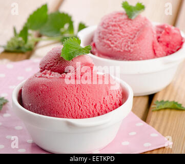 Dolce sorbetto di bacche con menta fresca. Messa a fuoco selettiva Foto Stock