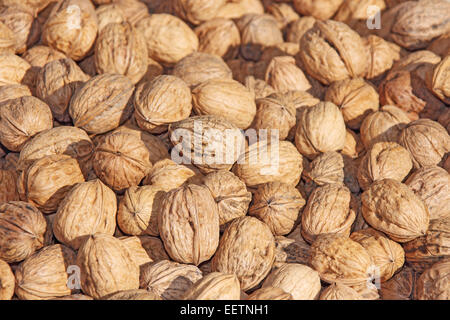 Sfondo di noce, mucchio di noci comuni in guscio Foto Stock