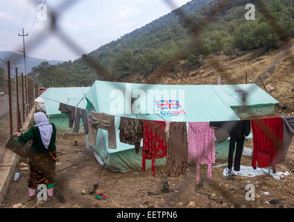 Yezedi profughi da Sinjar, Lalesh tempio, Kurdistan, Iraq Foto Stock