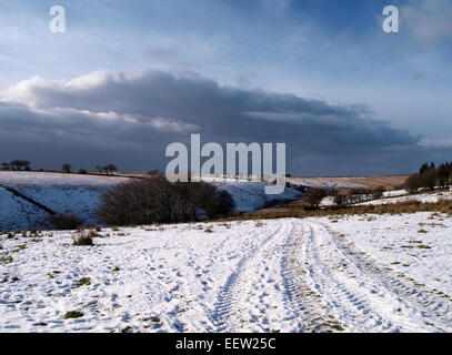 Inverno a Exmoor, Somerset, Regno Unito Foto Stock