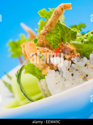 Piatto di Sushi con spider roll e uramaki Foto Stock