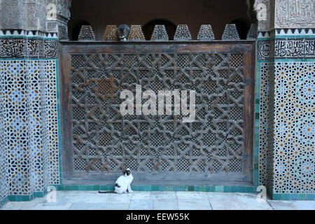 Cortile interno della Medersa Bou Inania, Fez, in Marocco Foto Stock