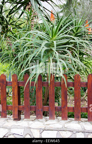 Recinzione su pareti di pietra di un giardino Foto Stock