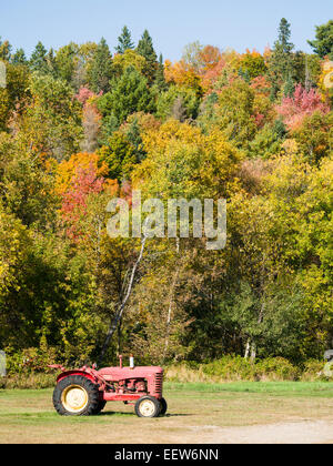 Vecchio Massy Harris trattore in una giornata autunnale. Un vecchio trattore rosso al di sotto di una pendenza colorati di colori autunnali. Foto Stock