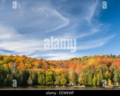 Vibranti colori caduta sotto un cielo ventoso. I colori autunnali su un bordo del lago con un luminoso cielo blu riempita con wispy nuvole Foto Stock