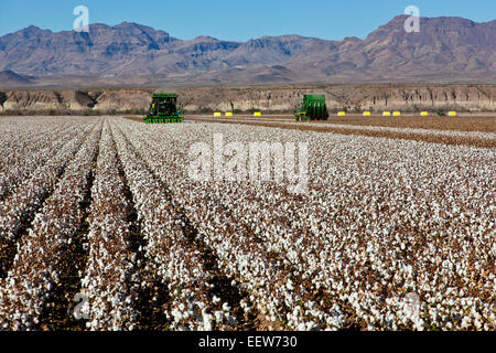 7760 John Deere raccoglitrici di cotone campo di raccolta. Foto Stock