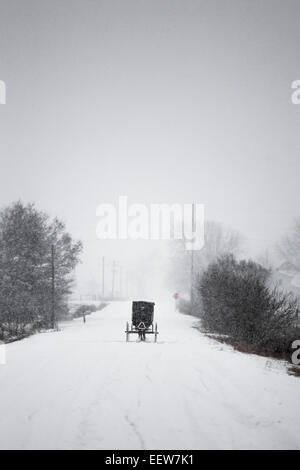 Amish buggy su una coperta di neve country road in Mecosta County vicino Big Rapids e Stanwood, Michigan, Stati Uniti d'America Foto Stock