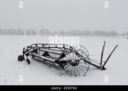 Un vecchio rastrello fieno che era una volta trainato da un trattore e fieno disposti in andane, in Mecosta County, Michigan, Stati Uniti d'America Foto Stock