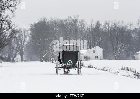 Amish buggy su una coperta di neve country road in Mecosta County vicino Big Rapids e Stanwood, Michigan, Stati Uniti d'America Foto Stock