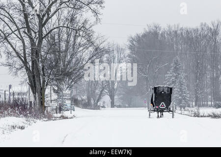 Amish buggy su una coperta di neve country road in Mecosta County vicino Big Rapids e Stanwood, Michigan, Stati Uniti d'America Foto Stock