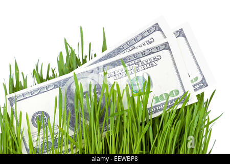 100 le fatture del dollaro crescente nell'erba verde, il concetto di finanziamento Foto Stock