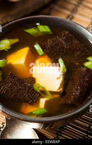 In casa calda zuppa di miso con tofu e alghe marine Foto Stock