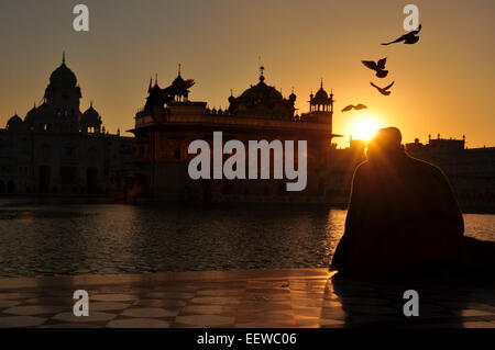 Pellegrino la meditazione al tramonto al tempio dorato Sri Hardmandir Sahib di Amritsar, India. Foto Stock