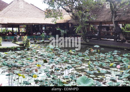 Lotus Café e il laghetto di loto situato di fronte alla pura Taman Saraswati, Ubud, Bali. Foto Stock