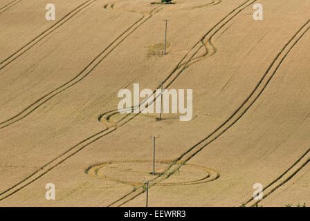 Linee composte da trattore attorno a pali del telefono in un maturo campo di grano in estate Foto Stock