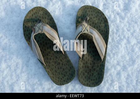 Flipflops nella neve. Foto Stock