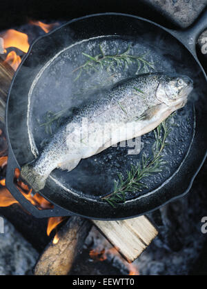 Pesce in una padella su fuoco all'aperto. Foto Stock