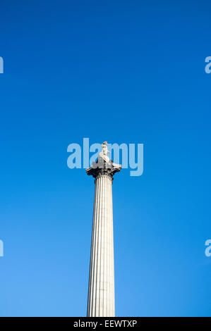 Nelson la colonna, Trafalgar Square, Londra. Esso è stato completato nel 1843 per commemorare l'ammiraglio Horatio Nelson. Foto Stock