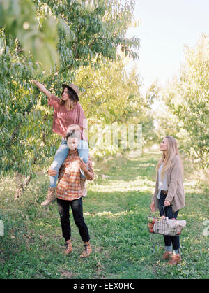 Orchard. Tre persone la raccolta di mele da un albero. Foto Stock