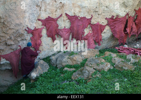 Tinti pelli di animali appendere l'asciugatura sulla collina sopra Chouwara conceria di Fez, Marocco Foto Stock